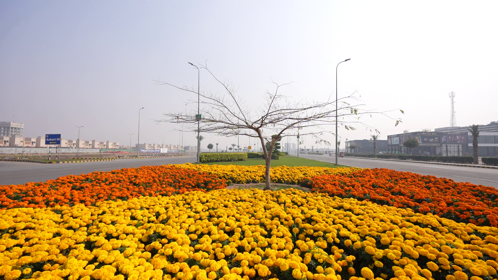 vlcsnap_2024_02_20_12h00m11s361_Large_0d4e7e798f